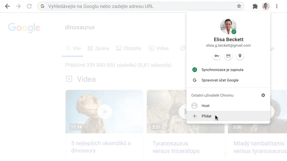 Okno prohlížeče Chrome s otevřeným dialogovým oknem Profil.